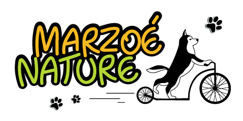 Logo MARZOE NATURE 